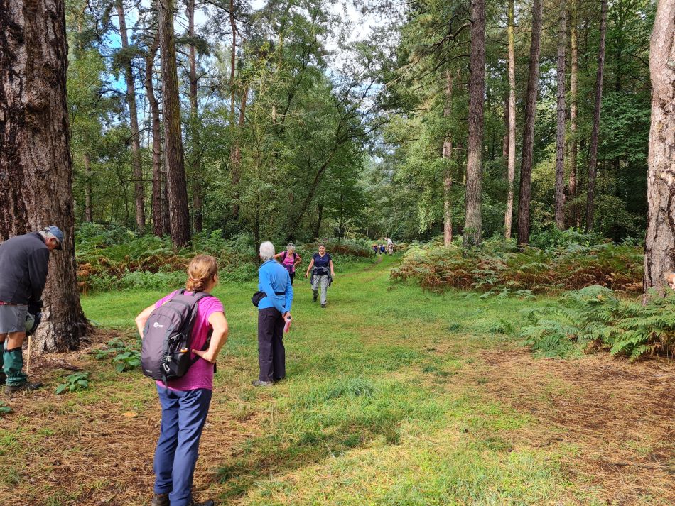 2023-09-18 04 Sandringham.jpg