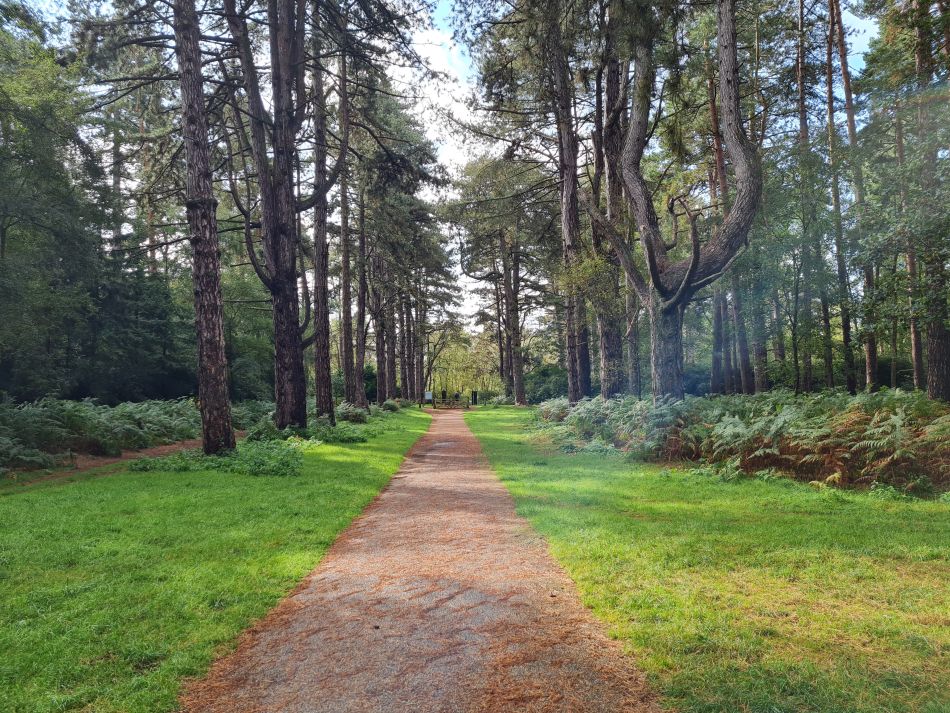 2023-09-18 05 Sandringham.jpg