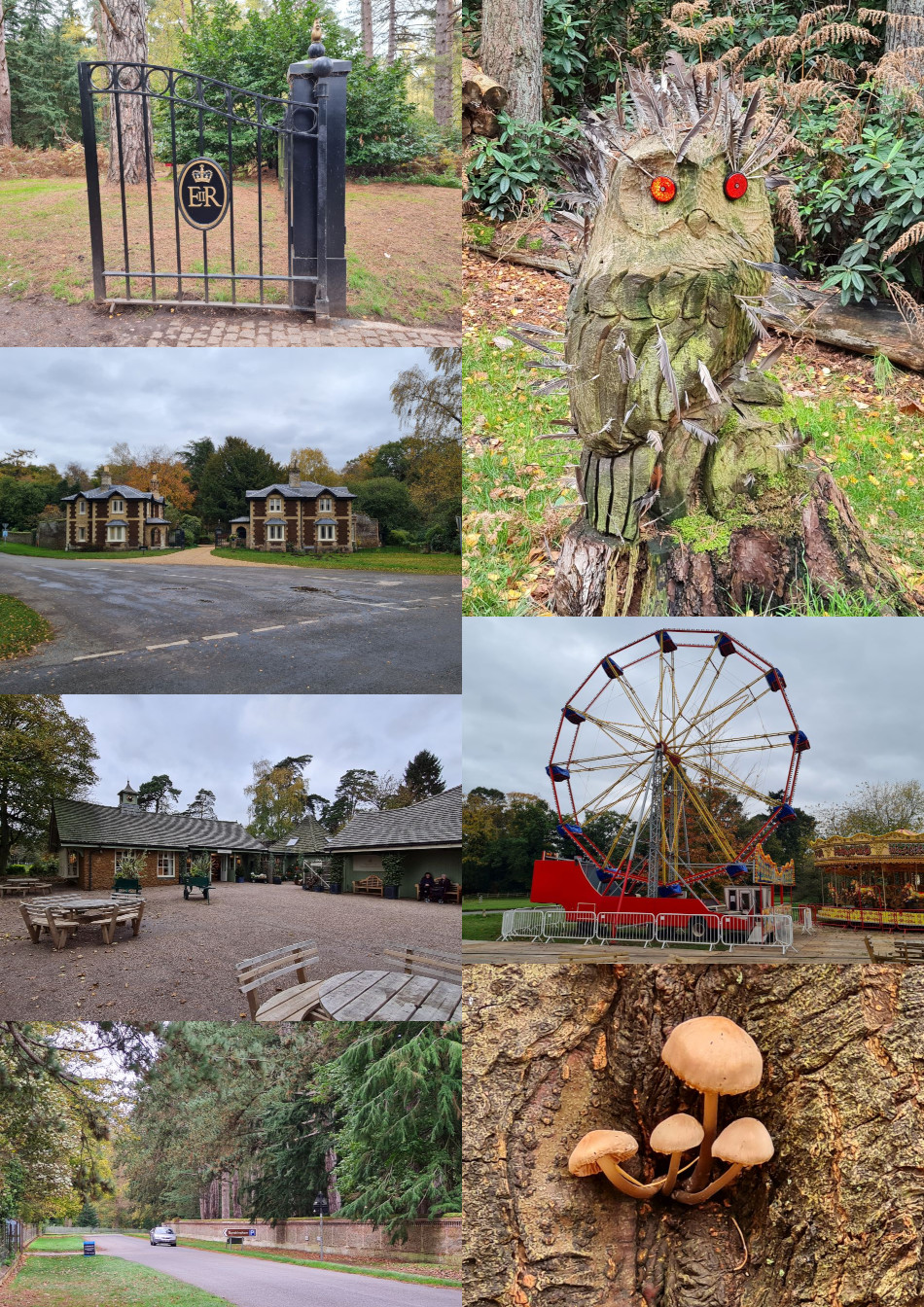 2023-09-18 98 Image.jpg