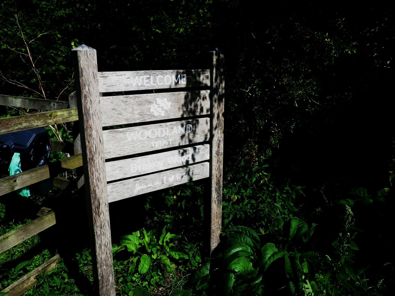 2025-08-10 17 Hoxne and South Green.jpg