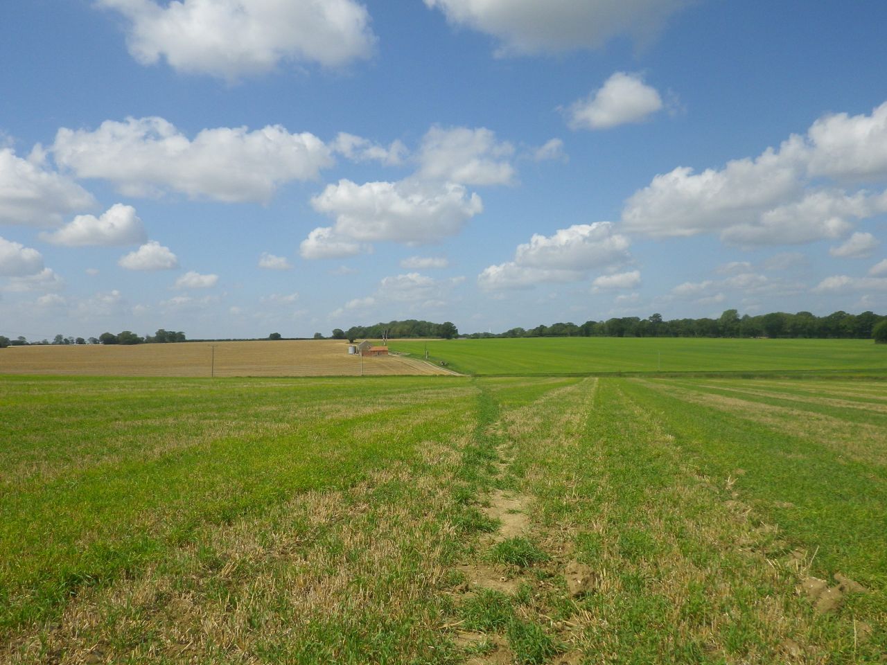 2025-08-10 30 Hoxne and South Green.jpg