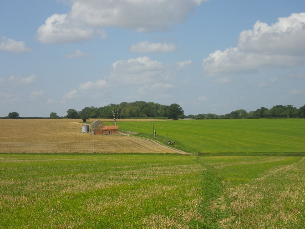 2025-08-10 31 Hoxne and South Green.jpg