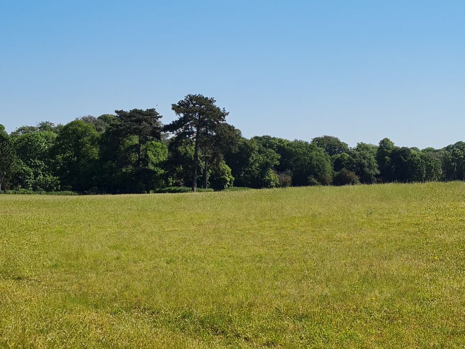 2023-06-15 03 Wensum at High Ash Farm.jpg