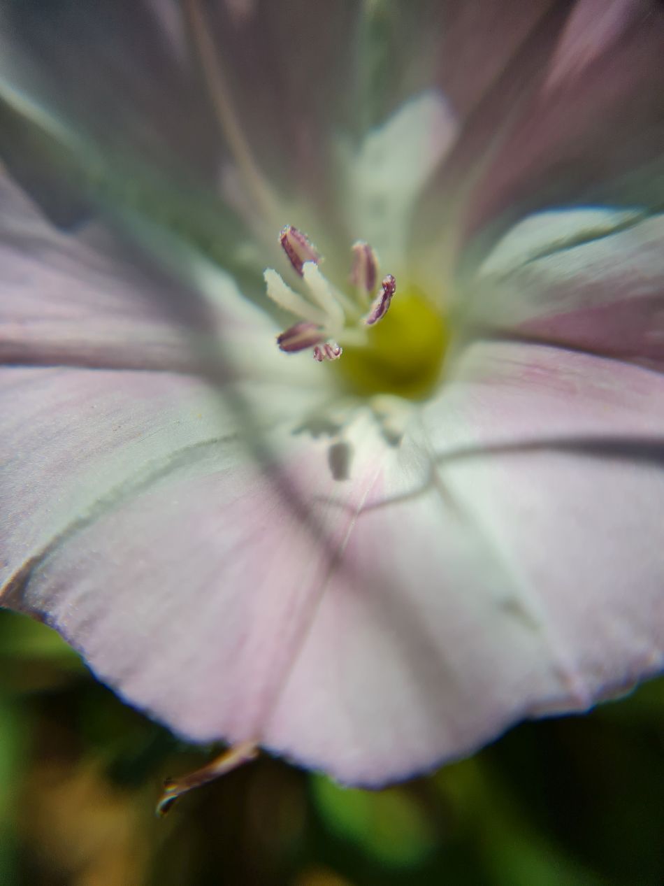 2023-06-15 08 Wensum at High Ash Farm.jpg