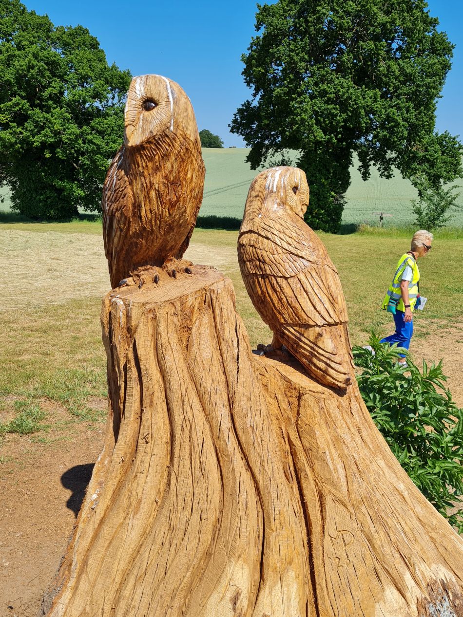 2023-06-15 22 Wensum at High Ash Farm.jpg