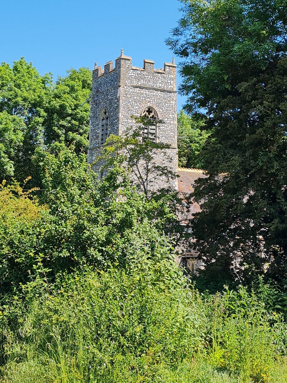 2023-06-15 31 Wensum at High Ash Farm.jpg