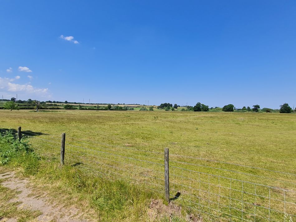 2023-06-15 47 Wensum at High Ash Farm.jpg