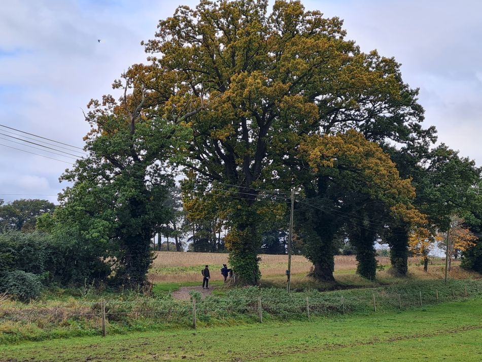 2023-11-05 10 Venta Icenorum.jpg