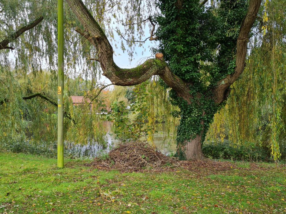 2023-11-05 16 Venta Icenorum.jpg