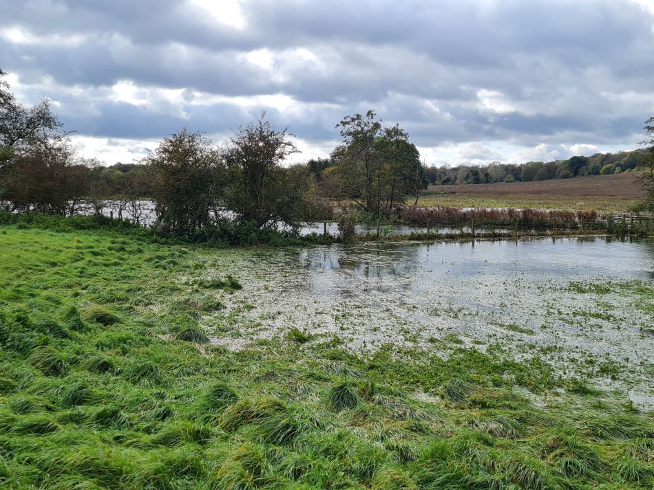 2023-11-05 26 Venta Icenorum.jpg