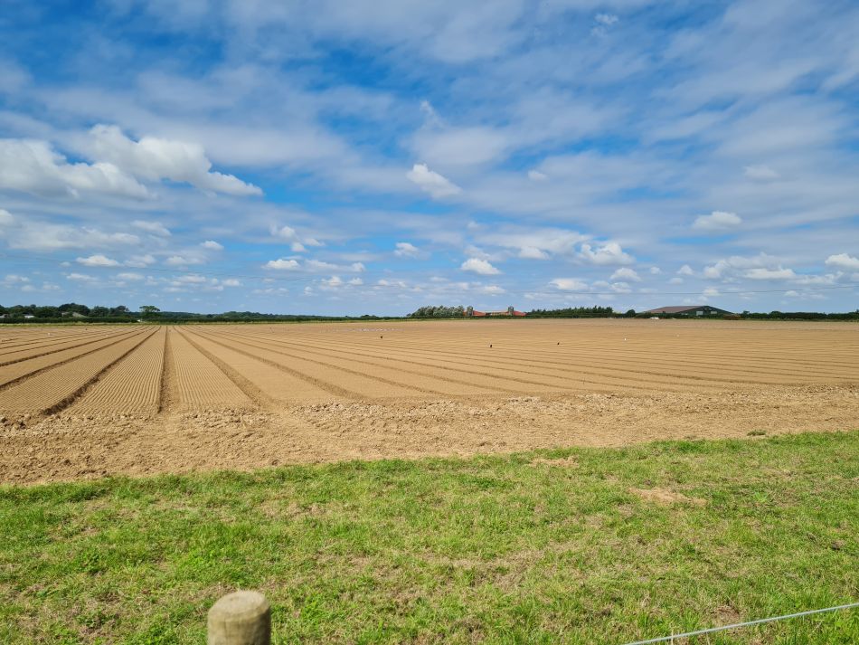 2023-08-10 03 Wensum at Hemsby and Scratby.jpg