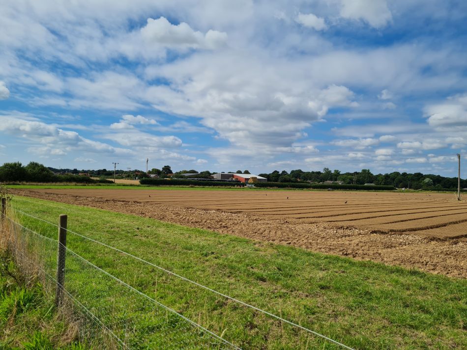 2023-08-10 04 Wensum at Hemsby and Scratby.jpg