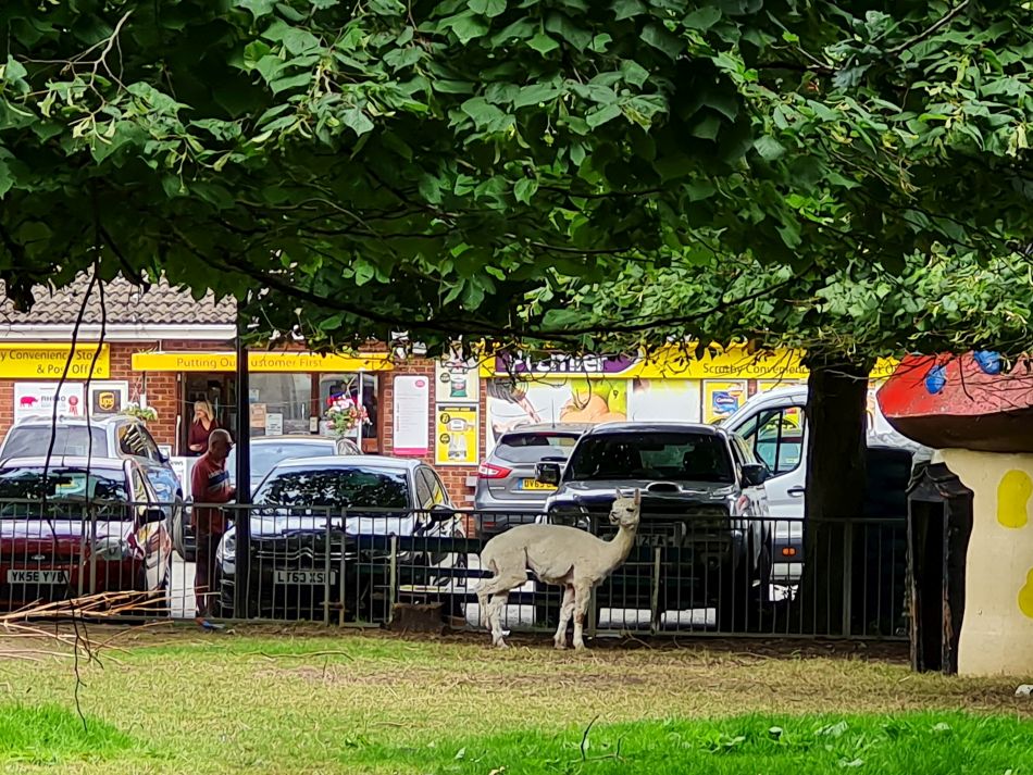 2023-08-10 06 Wensum at Hemsby and Scratby.jpg