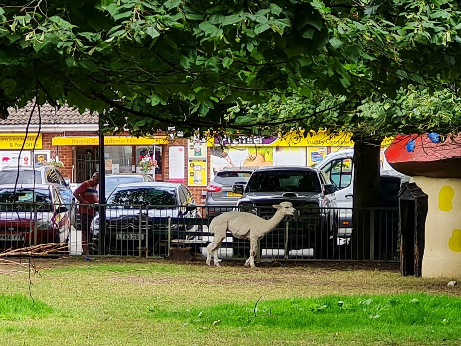 2023-08-10 07 Wensum at Hemsby and Scratby.jpg