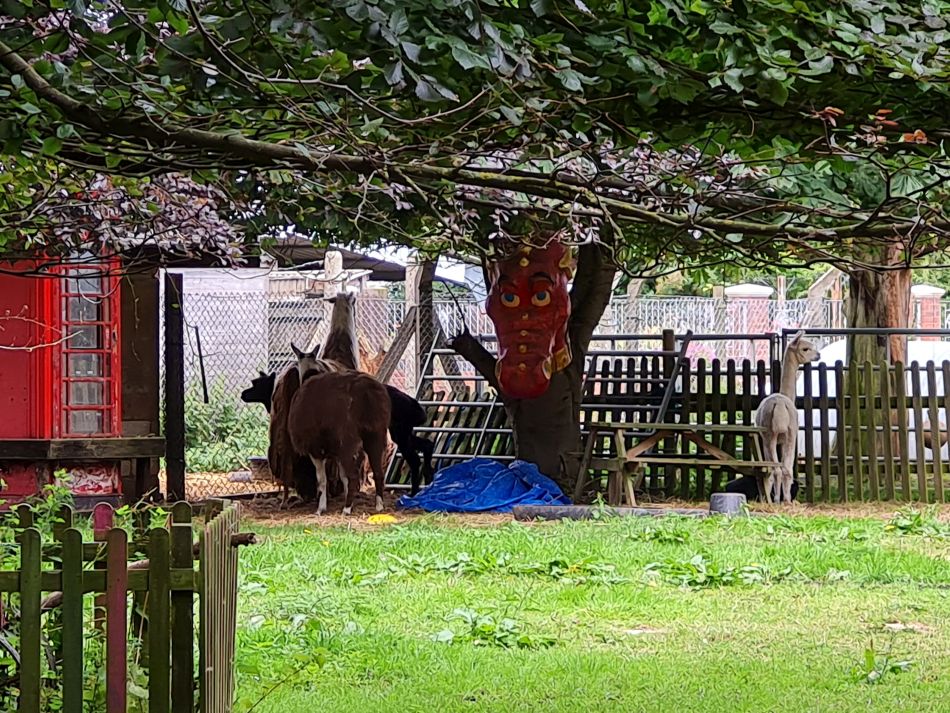 2023-08-10 08 Wensum at Hemsby and Scratby.jpg