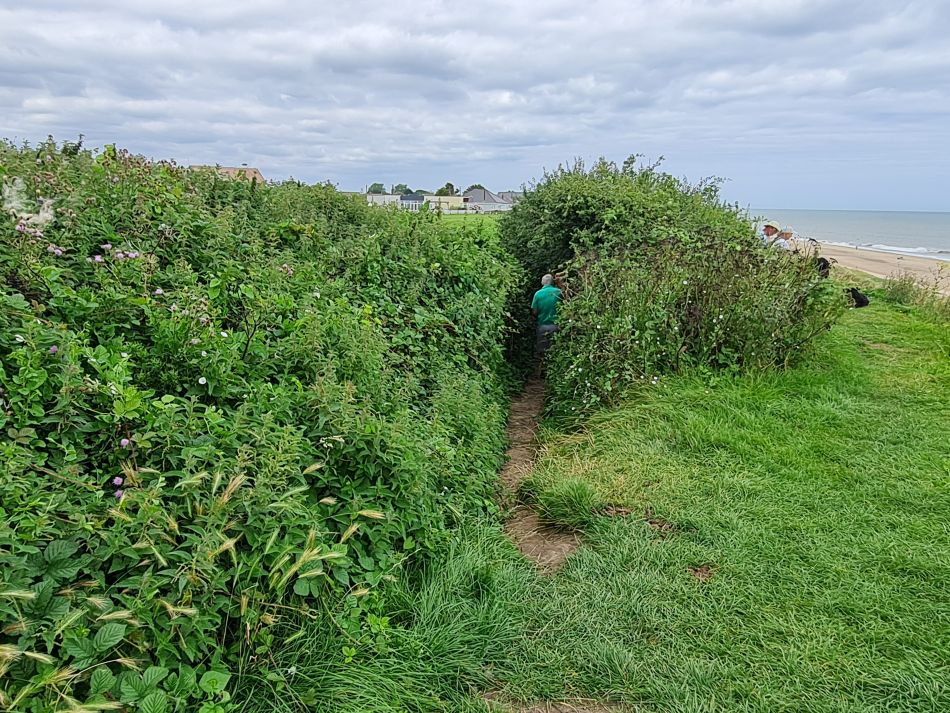 2023-08-10 16 Wensum at Hemsby and Scratby.jpg