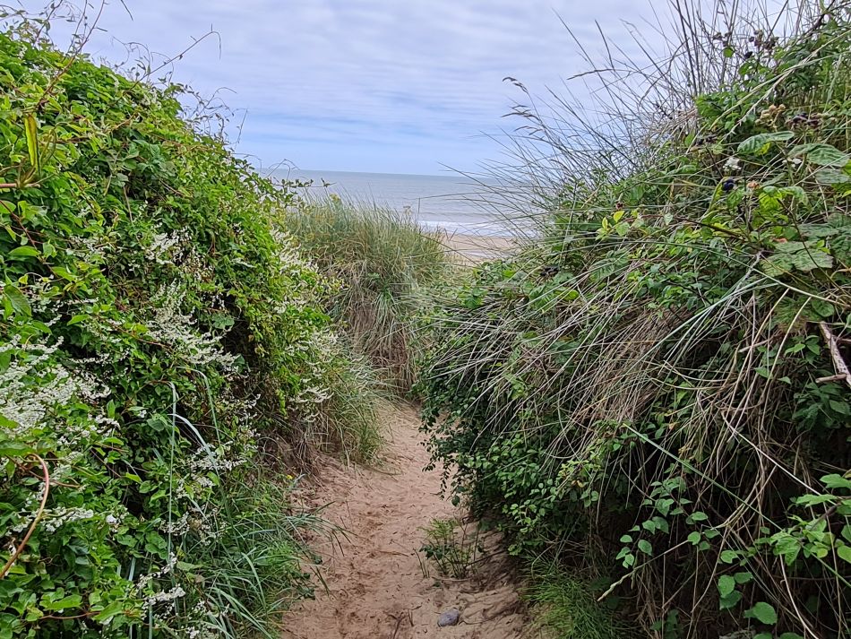 2023-08-10 17 Wensum at Hemsby and Scratby.jpg