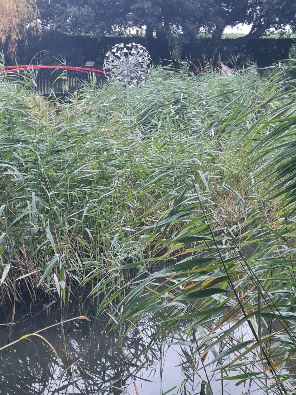 2023-11-12 23 Pakefield coast and Inland.jpg