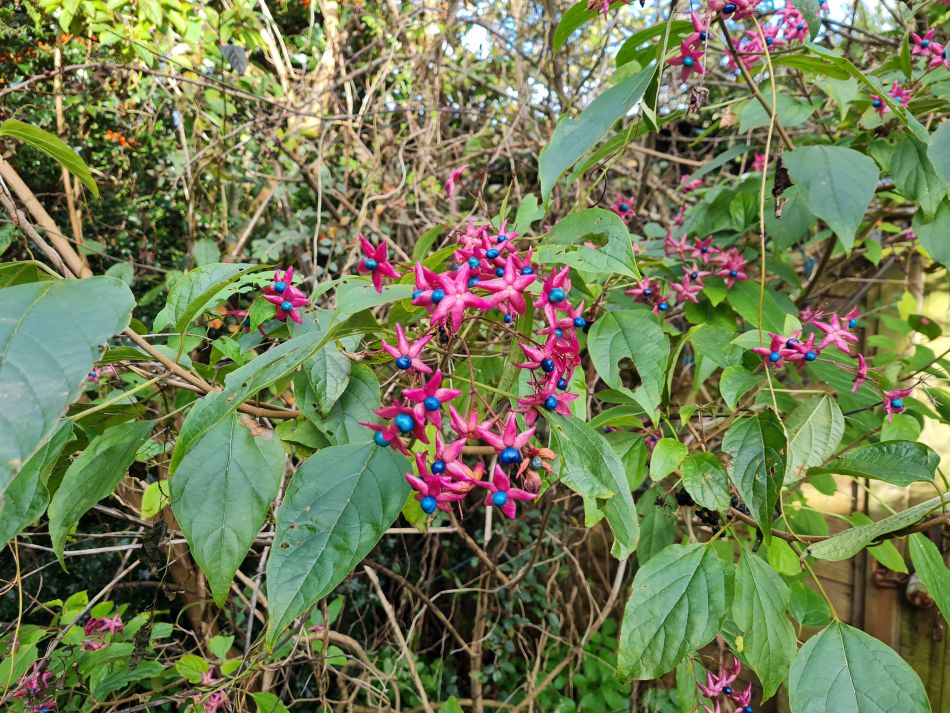 2023-11-13 18 Pakefield coast and Inland.jpg