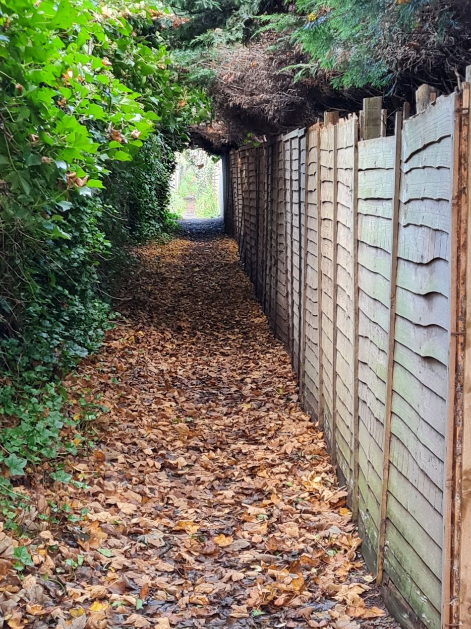 2023-11-13 20 Pakefield coast and Inland.jpg