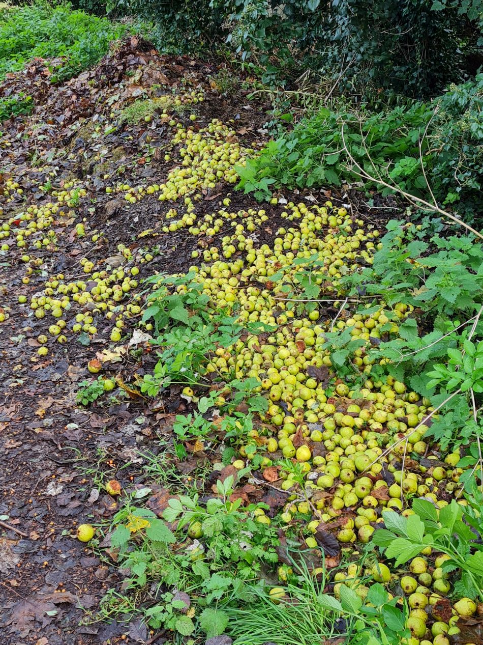 2023-11-13 23 Pakefield coast and Inland.jpg