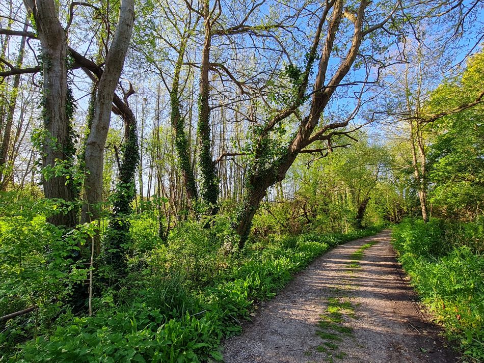 2024-04-21 04 Chichester Harbour AONB.jpg
