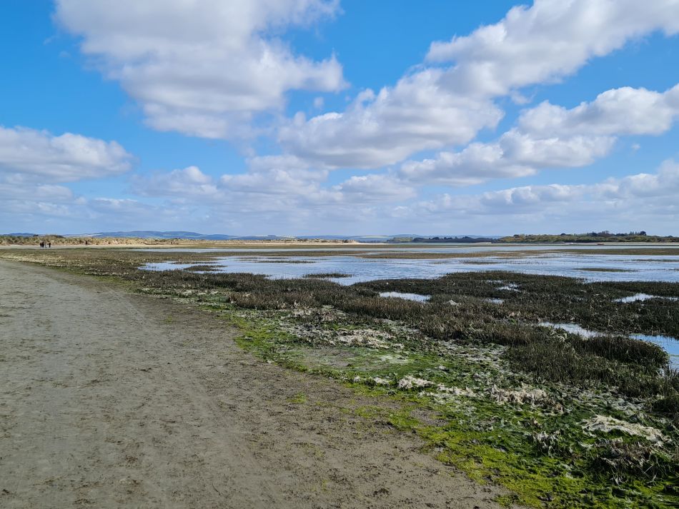 2024-04-21 20 Chichester Harbour AONB.jpg