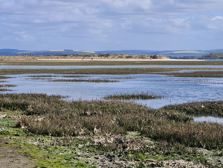 2024-04-21 21 Chichester Harbour AONB.jpg