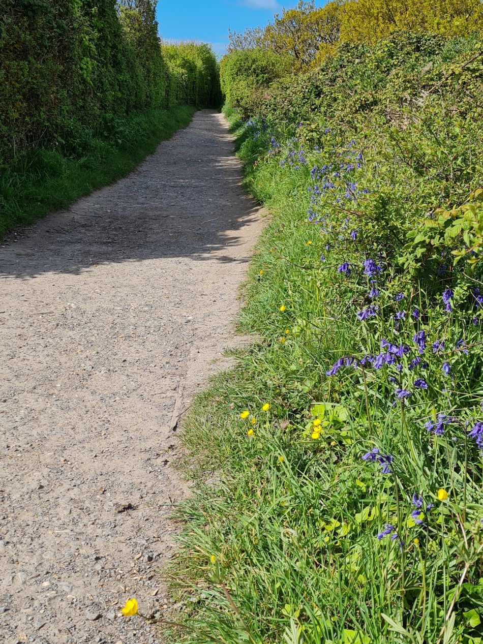 2024-04-21 24 Chichester Harbour AONB.jpg