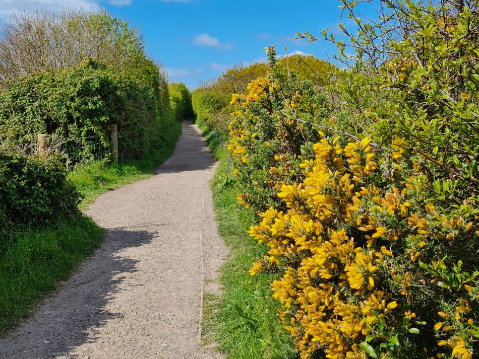2024-04-21 25 Chichester Harbour AONB.jpg