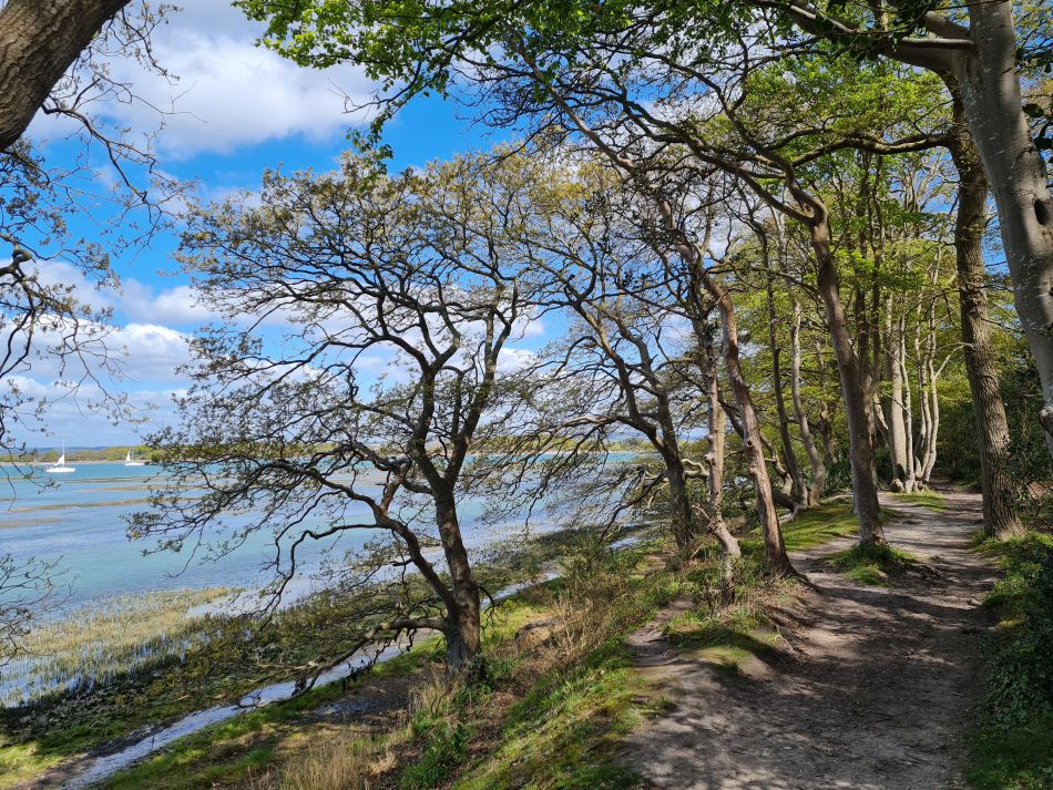 2024-04-21 40 Chichester Harbour AONB.jpg