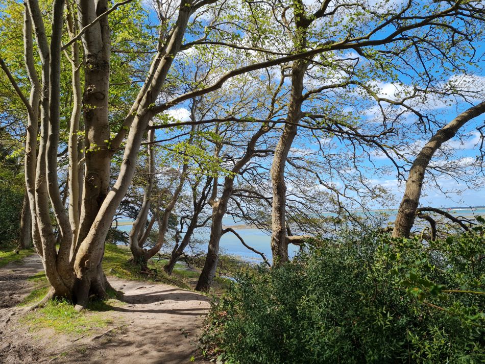2024-04-21 41 Chichester Harbour AONB.jpg