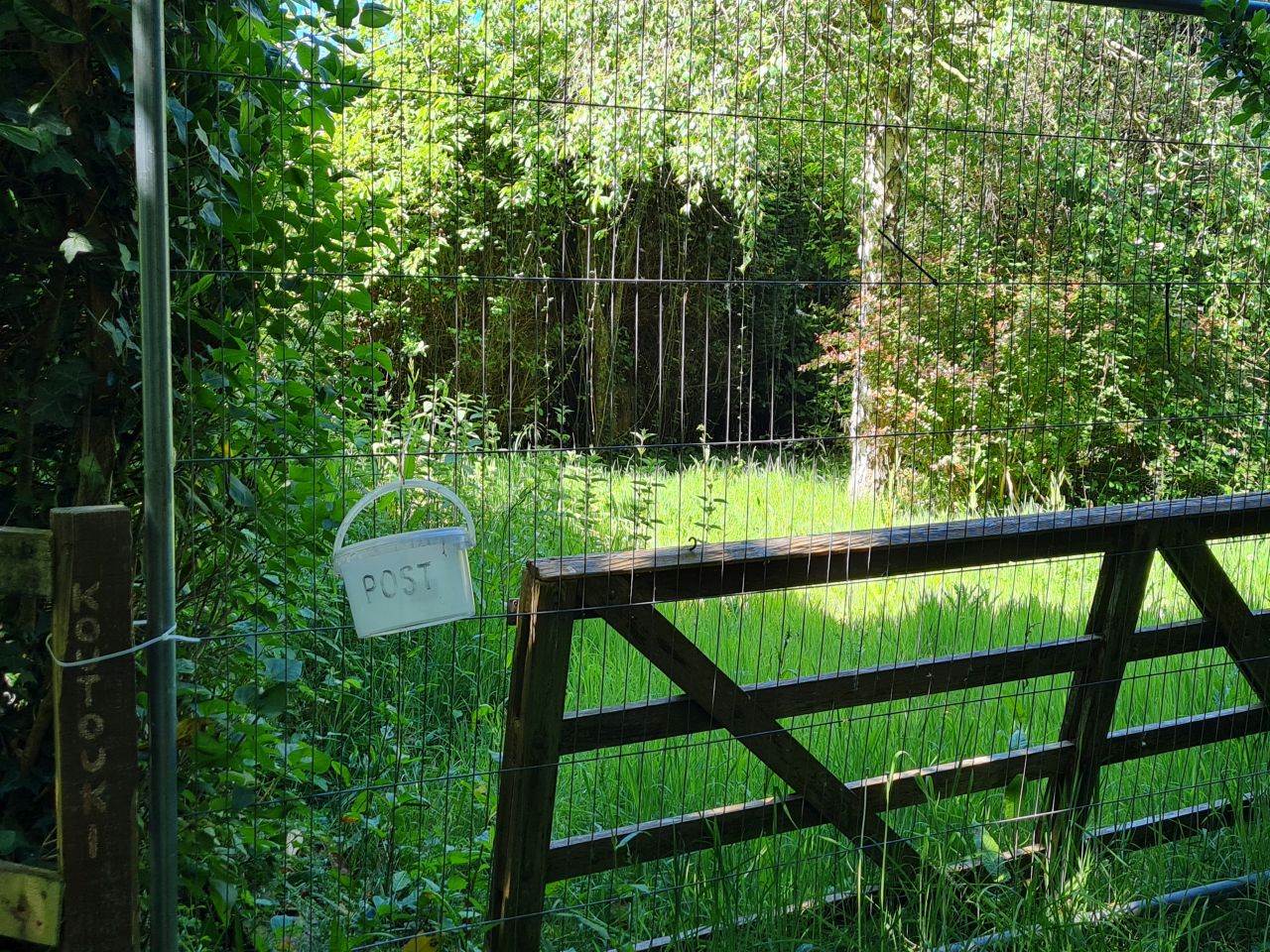 2025-05-16 08 Chichester AONB.jpg