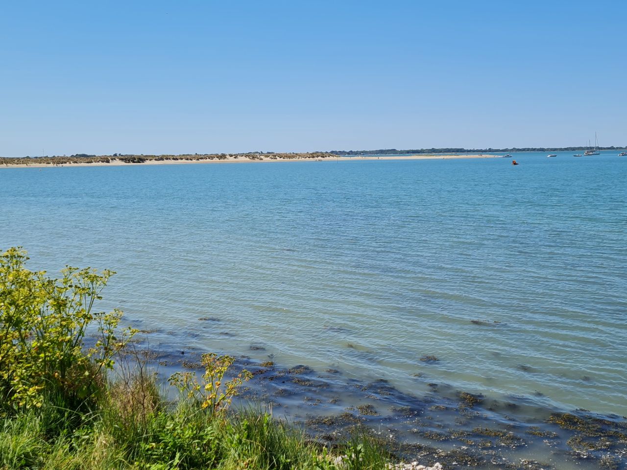 2025-05-16 16 Chichester AONB.jpg