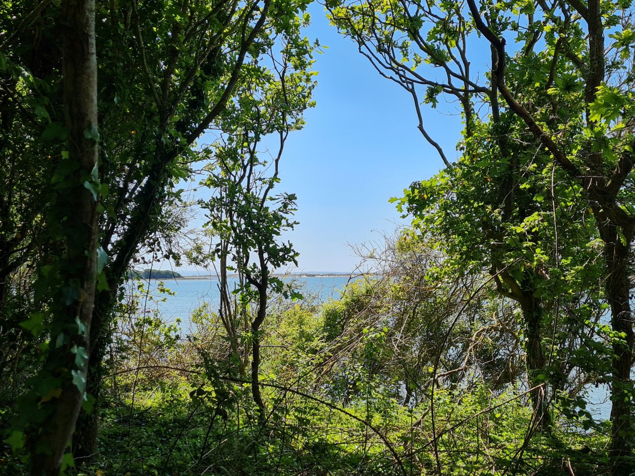 2025-05-16 17 Chichester AONB.jpg