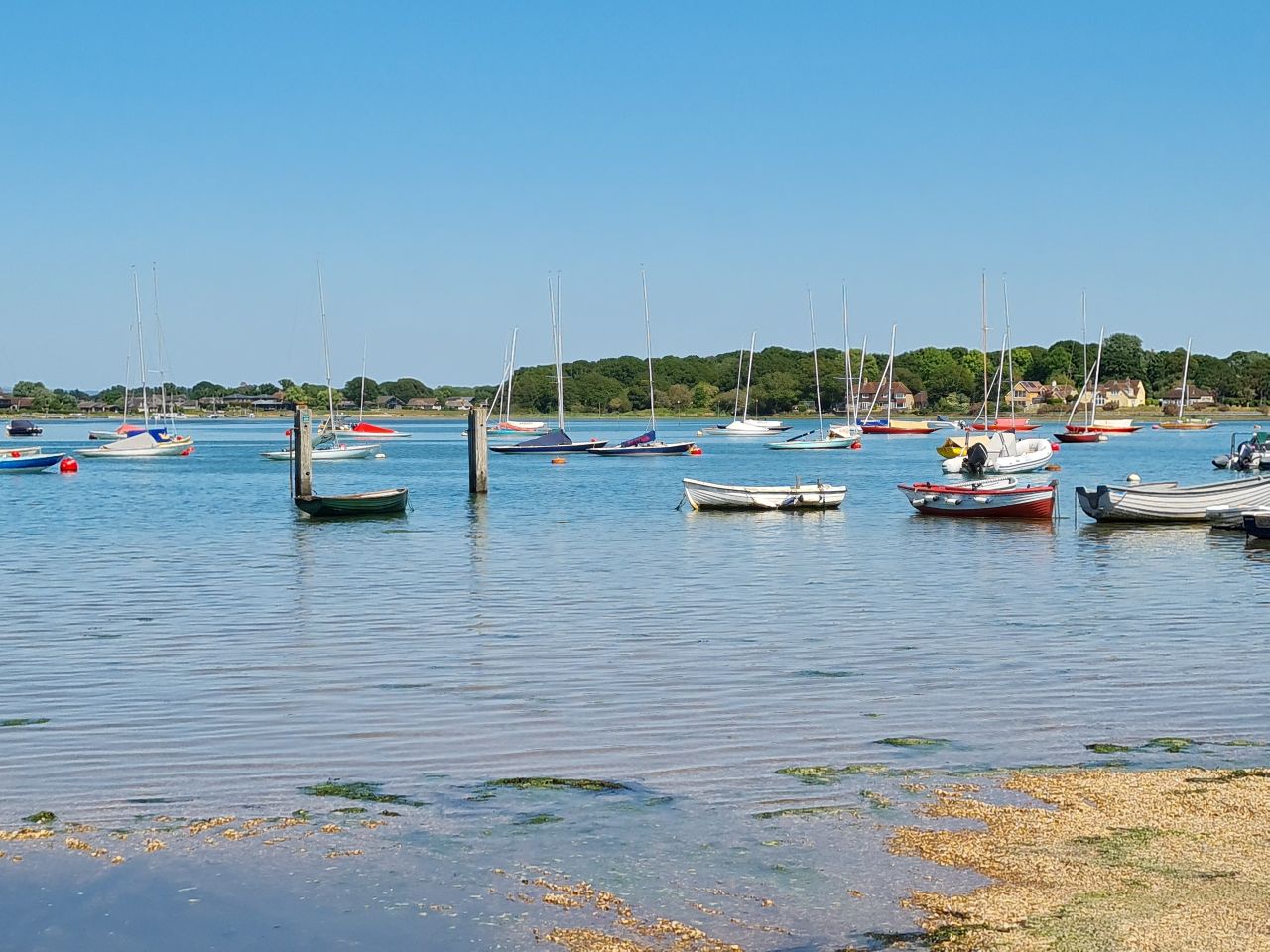 2025-05-16 24 Chichester AONB.jpg