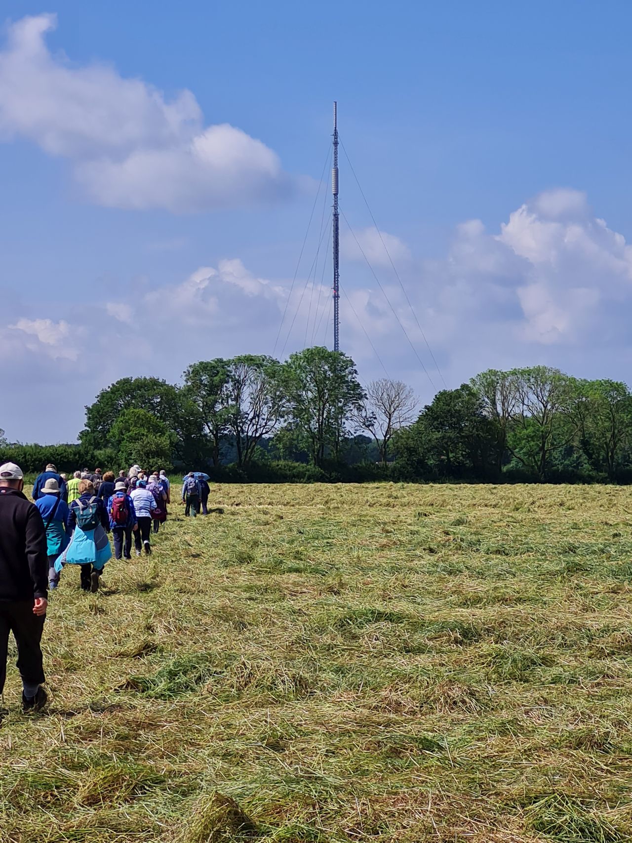2024-06-06 08 Ashwellthorpe.jpg
