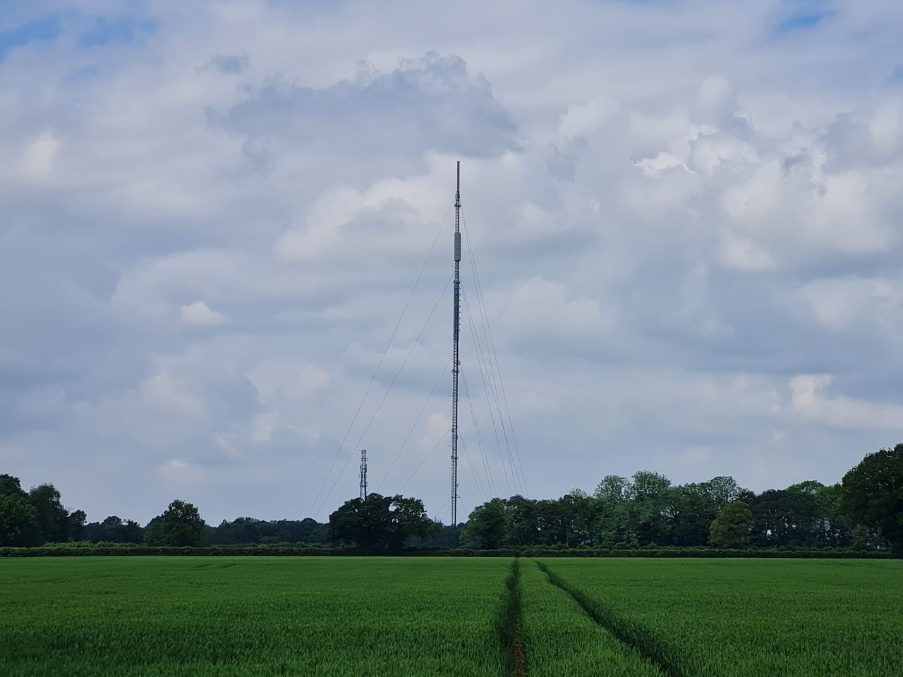 2024-06-06 10 Ashwellthorpe.jpg