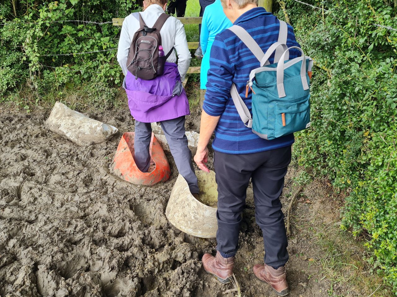 2024-06-06 14 Ashwellthorpe.jpg