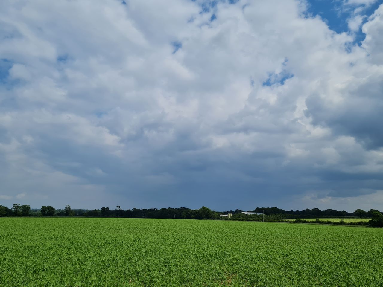 2024-06-06 16 Ashwellthorpe.jpg