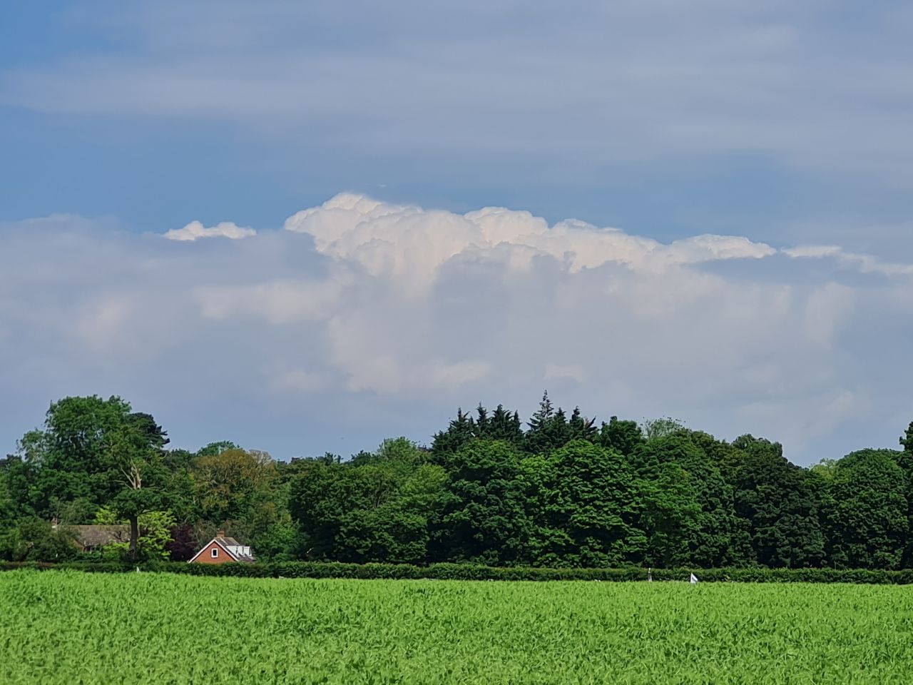 2024-06-06 17 Ashwellthorpe.jpg