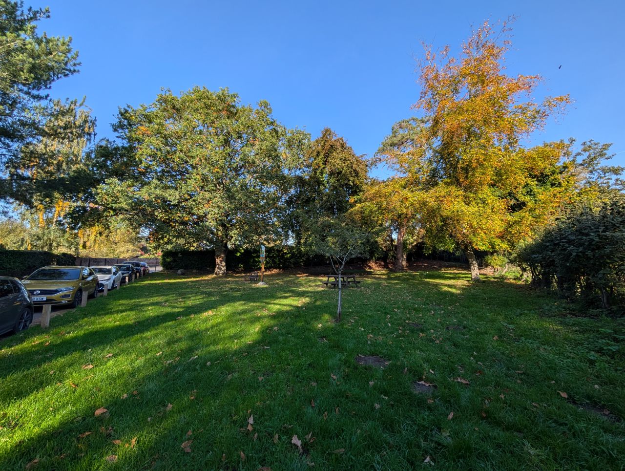 2025-10-10 01 Geldeston.jpg