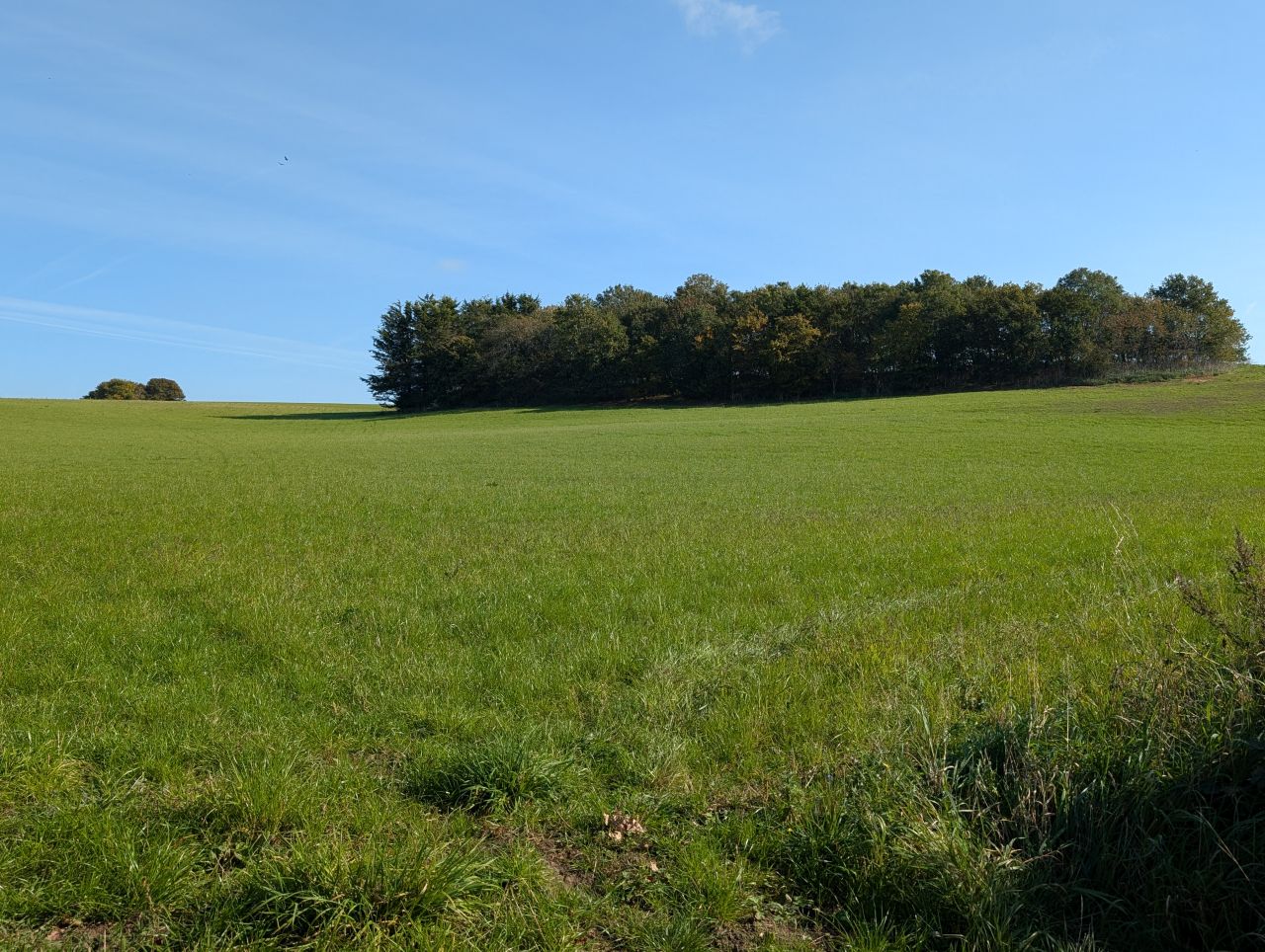 2025-10-10 04 Geldeston.jpg