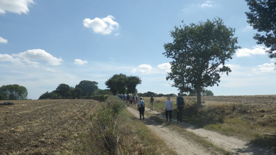 2018-08-01 04 Wheatacre.jpg