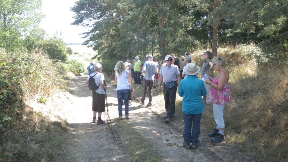 2018-08-01 05 Wheatacre.jpg