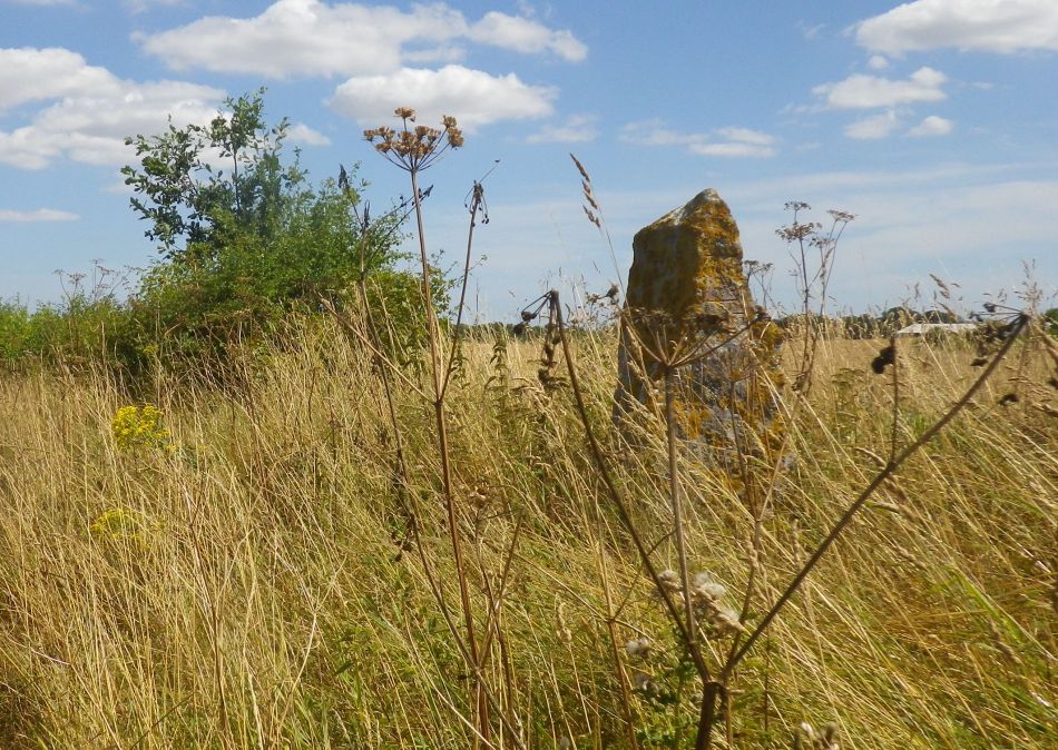 2018-08-01 07 Wheatacre.jpg