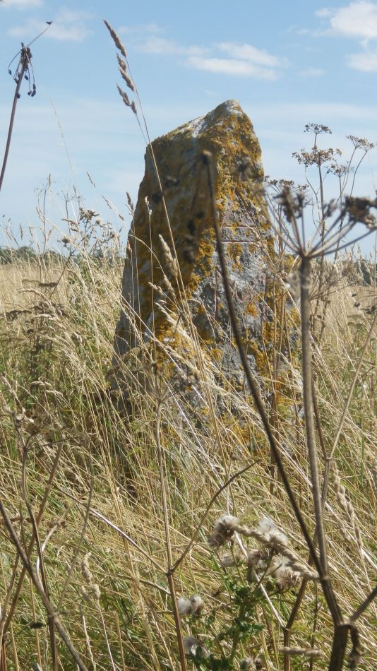 2018-08-01 08 Wheatacre.jpg