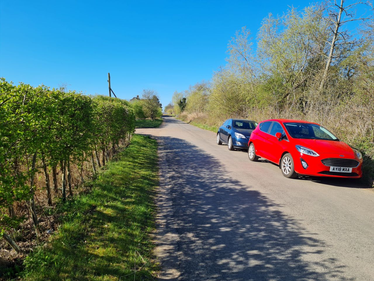 2025-04-06 01 Waveney Forest and Redwings.jpg