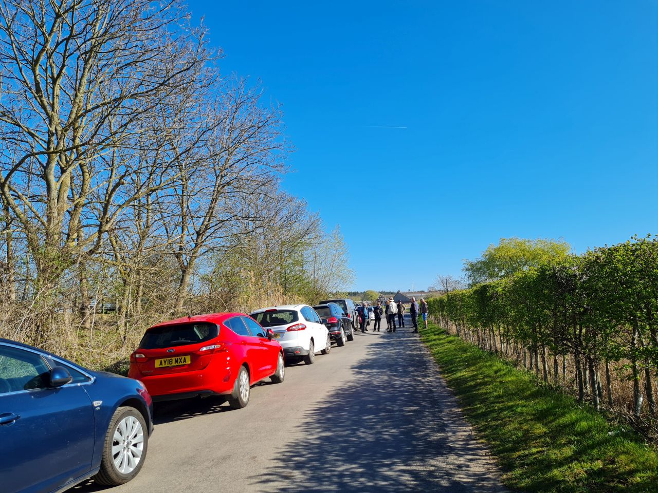 2025-04-06 02 Waveney Forest and Redwings.jpg