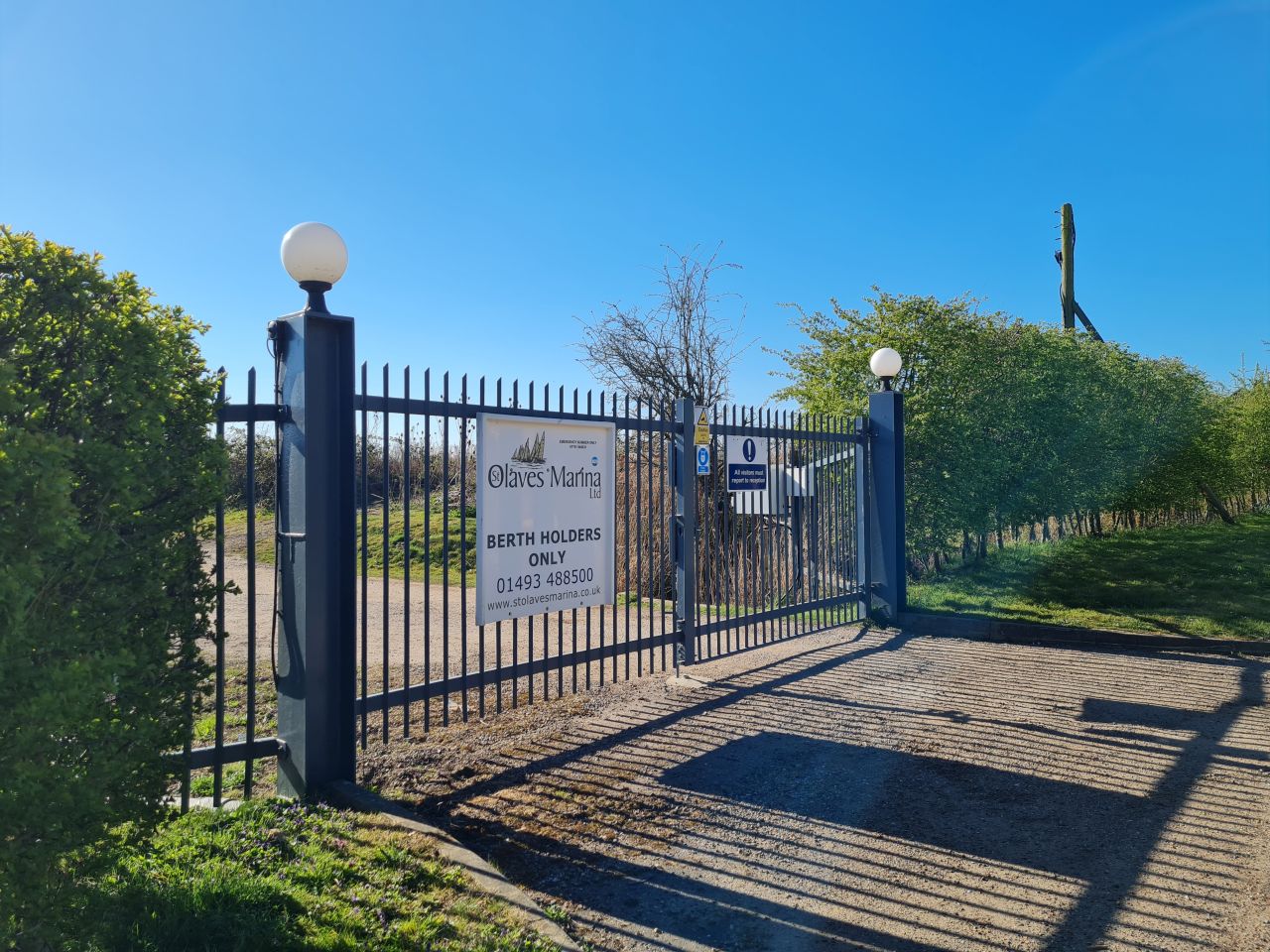 2025-04-06 03 Waveney Forest and Redwings.jpg
